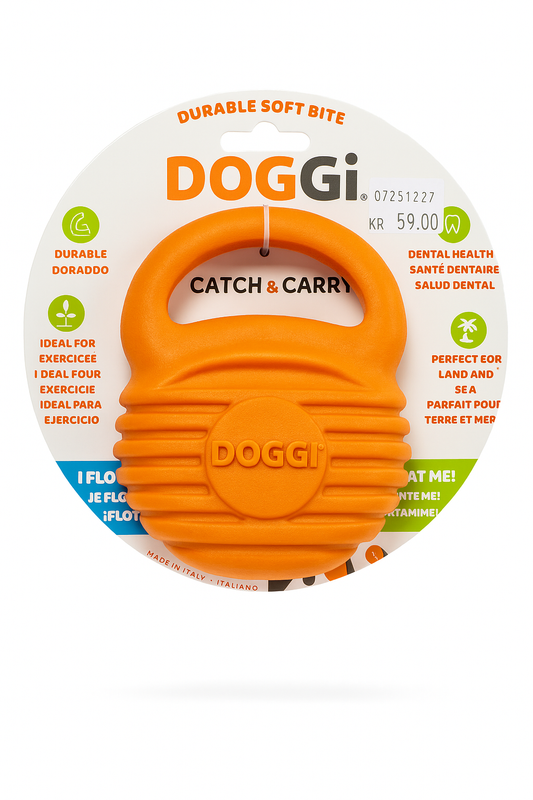 DOGGi aktivitet